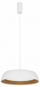 Подвесной светильник EVOLUCE MUSE SLE1812-503-01