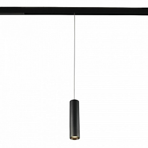 Подвесной светильник MyFar Technical MT0221-20W3K-S-B