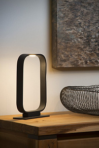 Настольная лампа декоративная Lucide Mika 79501/05/30