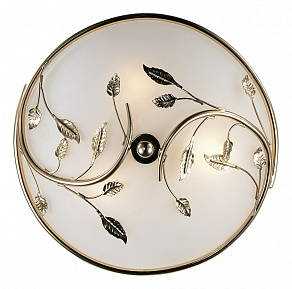 Накладной светильник Odeon Light Regana 2728/3C