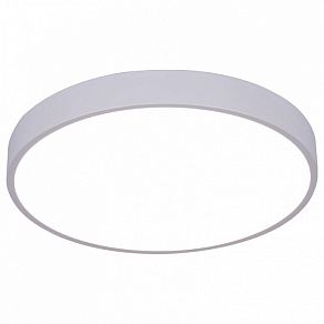 Накладной светильник Arte Lamp Arena A2661PL-1WH