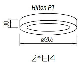 Накладной светильник TopDecor Hilton Hilton P1 12