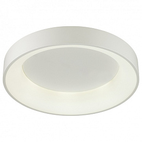 Накладной светильник Odeon Light Sole 4062/40CL