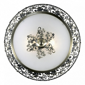 Накладной светильник Odeon Light Balasa 2726/2C