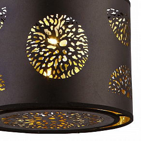 Подвесной светильник Arte Lamp Kabuki A1140SP-1BK