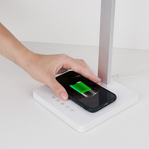 Настольная лампа офисная Elektrostandard TL90510 a039563