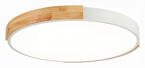 Накладной светильник EVOLUCE Delia SLE201352-01