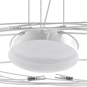 Подвесная люстра Lightstar Ovale 784346