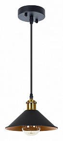 Подвесной светильник Arte Lamp Cappello A7037SP-1BK