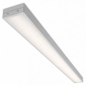 Накладной светильник WoltaPRO Лайнер ДПО02-36-101-4К