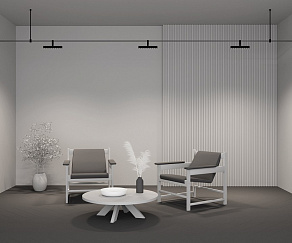 Светильник на штанге Maytoni Points Rot TR203-1-10W3K-S-B