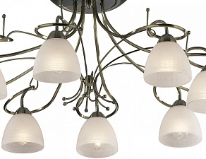 Потолочная люстра Odeon Light Kaena 2120/8C