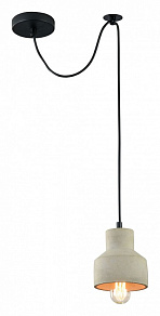 Подвесной светильник Maytoni Broni T437-PL-01-GR