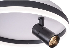 Накладной светильник Zortes Raizy ZRS.1888.03