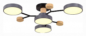 Потолочная люстра EVOLUCE Faema SLE6006-702-04