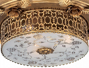 Накладной светильник Odeon Light Capua 2642/3C