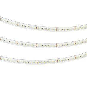 Лента светодиодная Arlight RTW-PS 063855