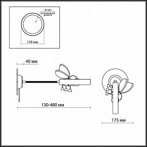 Бра Odeon Light Arli 2805/1W