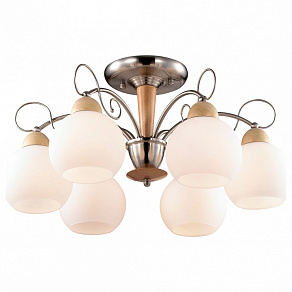 Люстра на штанге Odeon Light Narbo 2658/6C