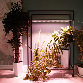 Светильник для растений Uniel ULI-P UL-00011264