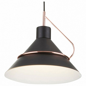 Подвесной светильник Freya Amis FR5025PL-01B