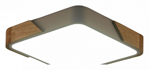 Накладной светильник Zortes ALBERRO ZRS.01285.36