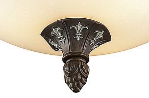 Накладной светильник Odeon Light Ridera 2784/3C