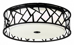 Накладной светильник Sonex Fabiana 7700/60L