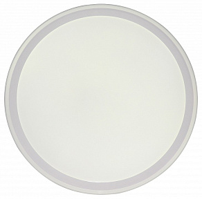 Накладной светильник Zortes BELLA ZRS.1200.09