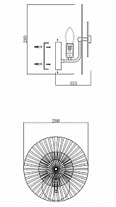 Накладной светильник Maytoni Aster MOD007WL-01G