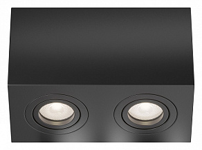 Накладной светильник Maytoni Atom C017CL-02B