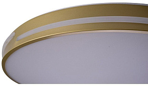 Накладной светильник Zortes Gabby ZRS.90610.50