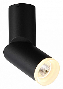 Светильник на штанге ST-Luce Tortelle ST107.402.10