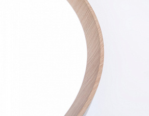 Накладной светильник Ambrella FZ FZ1322