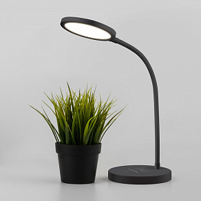 Настольная лампа офисная Elektrostandard Tiara a048743