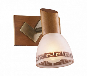 Спот Odeon Light Vario 1970/1W