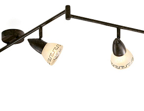 Спот Odeon Light Medeo 2075/6