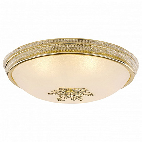 Накладной светильник Arte Lamp Vassolo A9205PL-5GO