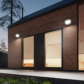 Настенно-потолочный прожектор Apeyron Electrics  05-46