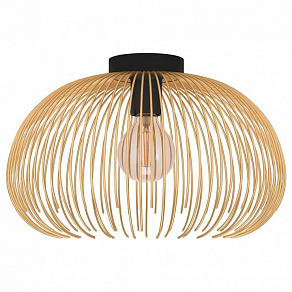 Накладной светильник Eglo Venezuela 900165