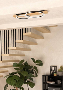 Накладной светильник Eglo BOYAL 901716