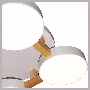 Накладной светильник Natali Kovaltseva 2132 LED LAMPS 81325