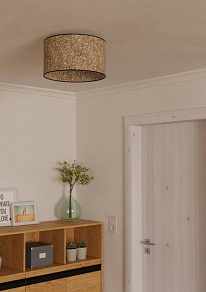 Накладной светильник Eglo Butterburn 43935