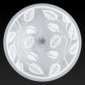Накладной светильник TopLight Alexandra TL9121Y-02WH