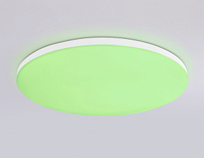 Накладной светильник Ambrella Light FZ FZ2002