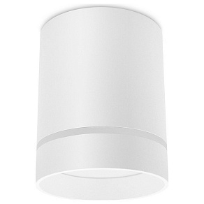 Накладной светильник Ambrella TN TN280