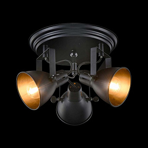 Спот Freya Ibbi FR4276-CL-03R-B