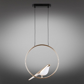 Подвесной светильник Aployt Astor APL.822.06.10