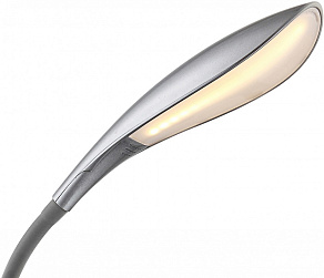 Настольная лампа офисная Globo Shannon 58244