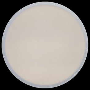 Накладной светильник Loft it Axel 1 10002/12 White